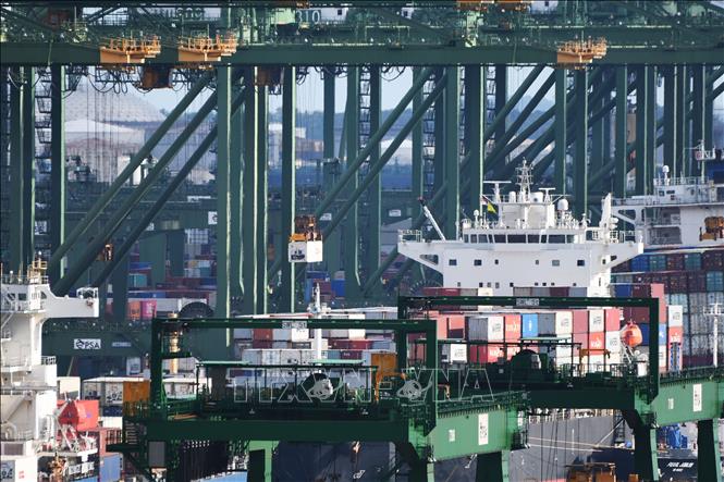 Trong ảnh: Bốc dỡ container hàng hóa tại cảng Pasir Panjang ở Singapore ngày 17/8/2020. Ảnh: THX/ TTXVN