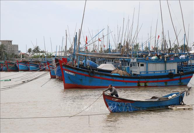 Trong ảnh: Ngư dân Phú Yên thả neo, gia cố tàu thuyền phòng chống bão số 9. Ảnh: Phạm Cường-TTXVN