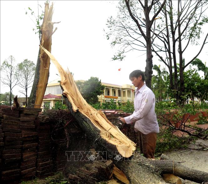 Trong ảnh: Người dân cưa, dọn những cây bị đổ ngã. Ảnh: Lê Ngọc Phước - TTXVN
