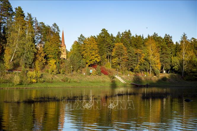 Mùa thu sang, sắc lá vàng và đỏ bao phủ ở nhiều nơi trên thế giới, mang đến vẻ đẹp lãng mạn. Trong ảnh: Sắc thu vàng tại Ogre, Latvia, ngày 21/10/2020. Ảnh: THX/ TTXVN