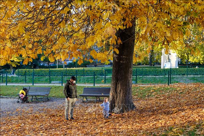 Mùa thu sang, sắc lá vàng và đỏ bao phủ ở nhiều nơi trên thế giới, mang đến vẻ đẹp lãng mạn. Trong ảnh: Trẻ em chơi đùa với lá rụng trong công viên ở Brussels, Bỉ, ngày 23/10/2020. Ảnh: THX/ TTXVN