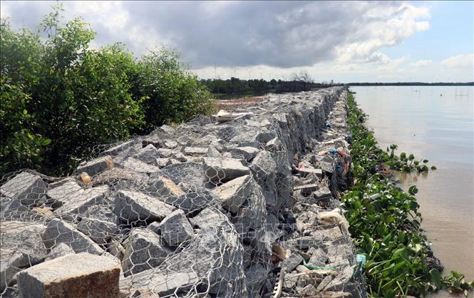 Báo Giá Thi Công Rọ Đá -  Thấu Hiểu Để Lựa Chọn Thông Minh