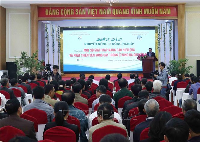Trong ảnh: Quang cảnh diễn đàn. Ảnh: Đinh Tuấn - TTXVN