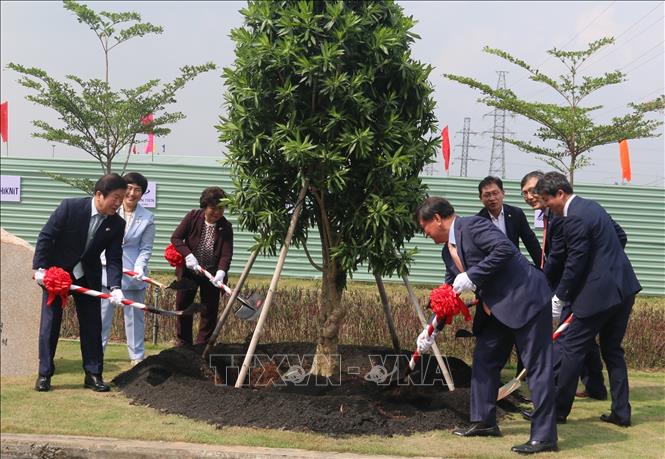 Trong ảnh: Đoàn Đại biểu cấp cao Quốc hội Hàn Quốc trồng cây tại Công ty Samil Vina. Ảnh: Công Phong - TTXVN