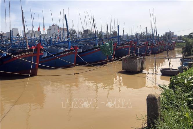 Trong ảnh: Tàu thuyền đang neo đậu, tránh trú bão số 10 tại cảng cá Tam Quan, thị xã Hoài Nhơn, Bình Định. Ảnh: Nguyên Linh - TTXVN