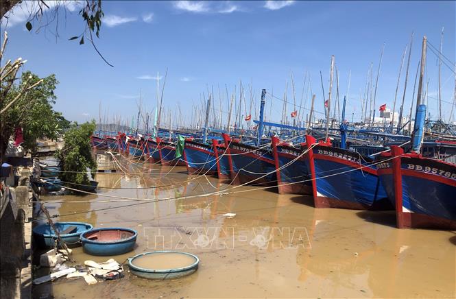 Trong ảnh: Hơn 3.500 tàu cá của ngư dân đang neo đậu, tránh trú bão số 10 tại cảng cá Tam Quan, thị xã Hoài Nhơn, Bình Định. Ảnh: Nguyên Linh - TTXVN
