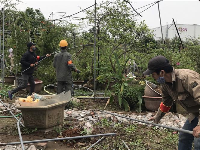 Trong ảnh: Lực lượng chức năng thực hiện công tác cưỡng chế. Ảnh: Nguyễn Văn Cảnh - TTXVN