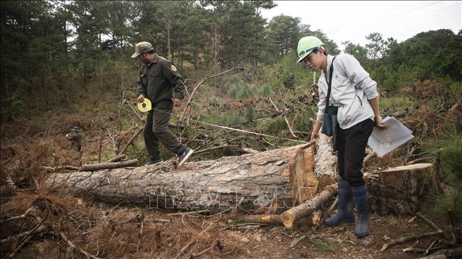 Trong ảnh: Lượng chức năng tiến hành kiểm tra hiện trường hoàn tất các thủ tục xử lý vụ việc. Ảnh: Đặng Tuấn-TTXVN