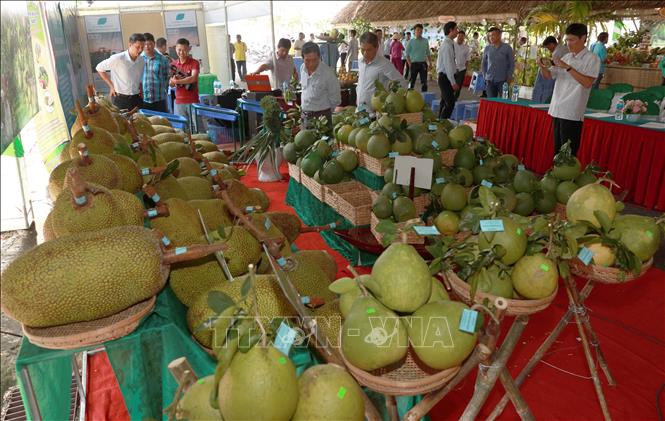 Trong ảnh: Trưng bày trái cây và nông sản Hậu Giang. Ảnh: Duy Khương - TTXVN