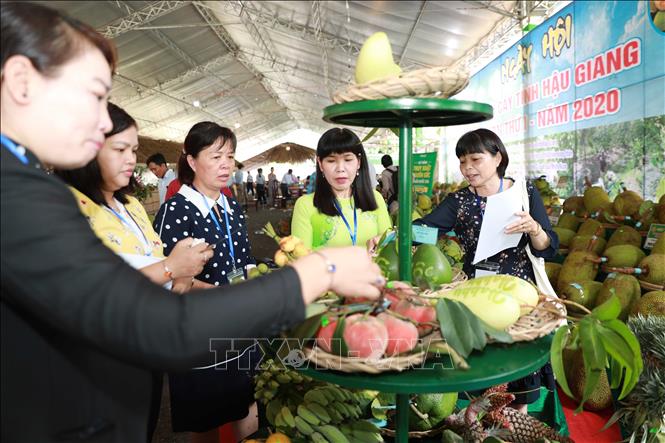 Trong ảnh: Trưng bày trái cây tại ngày hội. Ảnh: Duy Khương - TTXVN