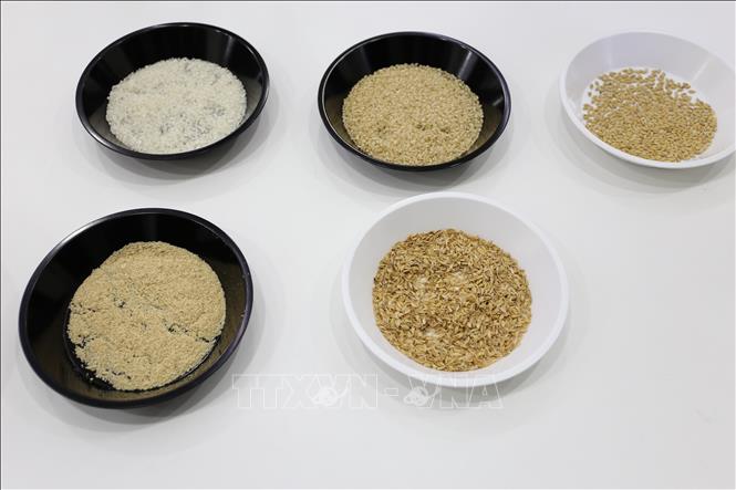 Trong ảnh: Thành phẩm từ hạt thóc sau khi sử dụng hệ thống thiết bị, máy xay xát của tập đoàn Satake. Ảnh: Bùi Đức Thịnh - PV TTXVN tại Nhật Bản