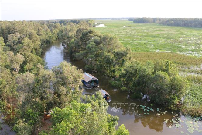 Trong ảnh: Vườn quốc gia Tràm Chim ở huyện Tam Nông (Đồng Tháp) là khu Ramsar thứ 4 của Việt Nam. Ảnh: Chương Đài - TTXVN