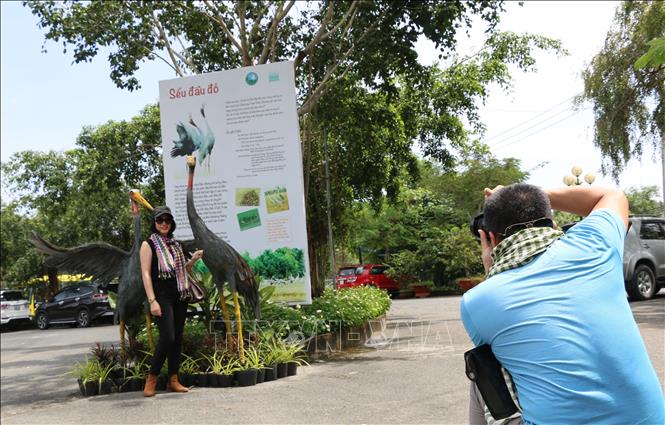 Trong ảnh: Khách du lịch chụp ảnh lưu niệm với biểu tượng Sếu đầu đỏ. Ảnh: Chương Đài - TTXVN