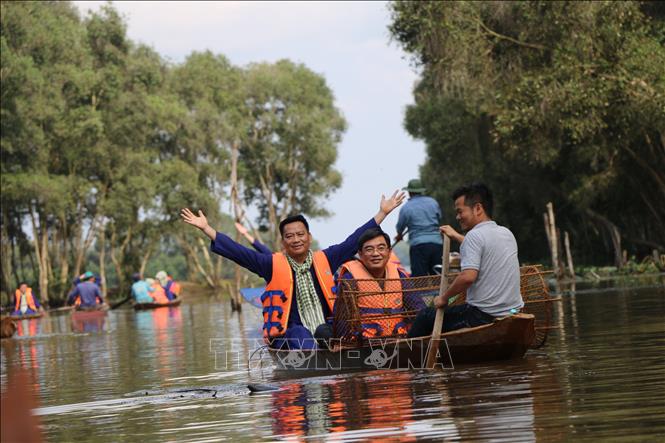 Trong ảnh: Khách du lịch tham quan vườn quốc gia Tràm Chim (Tam Nông, Đồng Tháp). Ảnh: Chương Đài - TTXVN