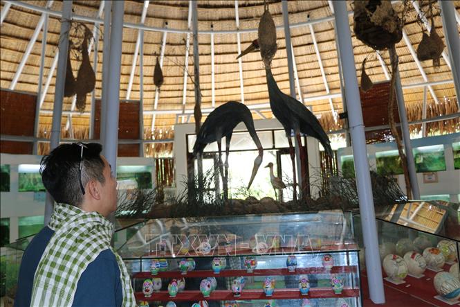 Trong ảnh: Khách tham quan nhà trưng bày trứng chim và cá nước ngọt trưng bày 130 loài trứng chim, 52 loài cá nước ngọt tiêu biểu của Vườn quốc gia Tràm Chim. Ảnh: Chương Đài - TTXVN