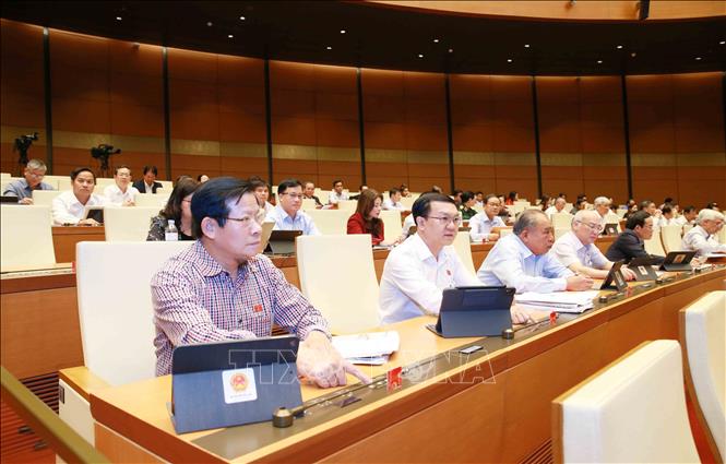 Đại biểu Quốc hội thành phố Hồ Chí Minh biểu quyết thông qua toàn văn dự thảo Nghị quyết về dự toán ngân sách nhà nước năm 2021. Ảnh: Phương Hoa - TTXVN