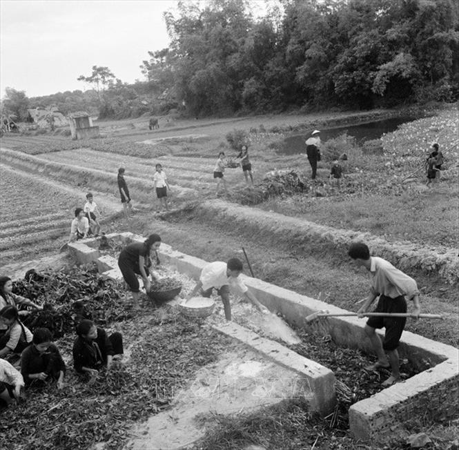 Trong những năm đấu tranh chống đế quốc Mỹ và bè lũ tay sai, Mặt trận Tổ quốc Việt Nam đã ra sức vận động các tầng lớp Nhân dân thi đua yêu nước, tham gia khôi phục kinh tế và phát triển văn hóa, hàn gắn vết thương chiến tranh, cải tạo và xây dựng miền Bắc xã hội chủ nghĩa thực sự là cơ sở vững chắc cho cuộc đấu tranh thống nhất nước nhà. Trong ảnh:  Giáo viên và học sinh trường cấp II Dịch Vọng Hà Nội áp dụng khoa học kĩ thuật đã học vào việc ủ phân xanh,giúp các HTX nông nghiệp. Ảnh: Văn Hiền - TTXVN