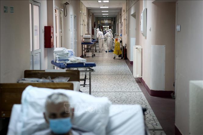 Trong ảnh: Bệnh nhân nhiễm COVID-19 điều trị tại bệnh viện ở Belgrade, Serbia. Ảnh: AFP/TTXVN