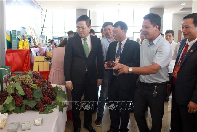 Trong ảnh: Các đại biểu thăm quan gian trưng bày sản phẩm. Ảnh: Đồng Thúy-TTXVN