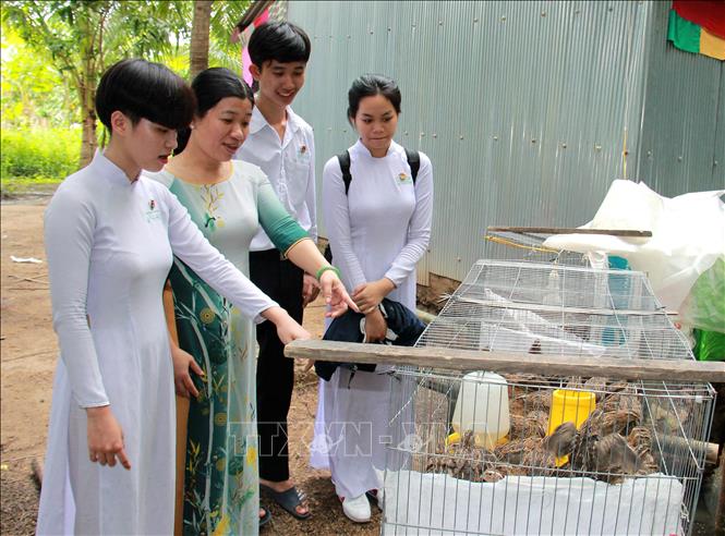 Trong ảnh: Cô Bùi Lê Xuân Trang thăm chuồng nuôi chim cút của em Nguyễn Thái Quyên (trái), hiện không còn là học sinh cá biệt của lớp. Ảnh: Lê Thúy Hằng - TTXVN