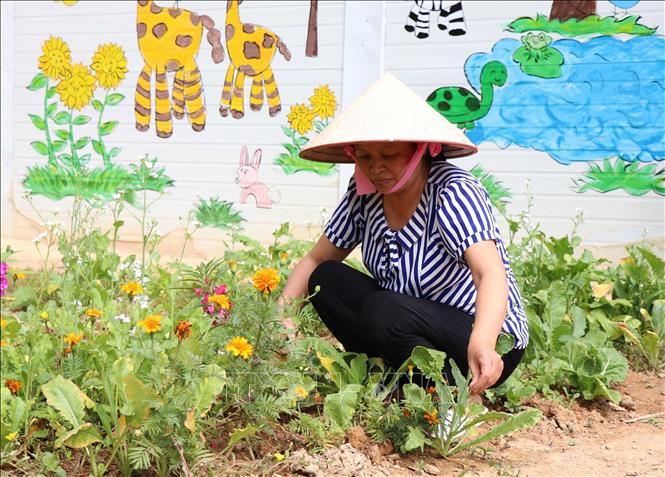 Ngoài thời gian đứng lớp, cô giáo Lê Thị Loan chăm sóc cây cảnh trong khuôn viên điểm trường để tạo cảnh quan cho điểm trường thêm xanh-sạch- đẹp. Ảnh: Xuân Tiến - TTXVN