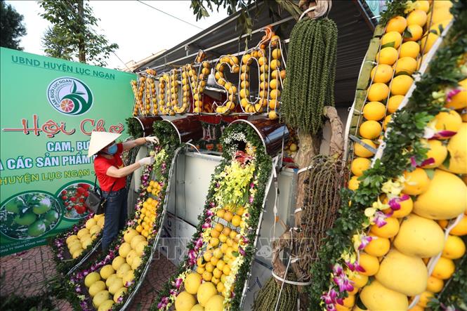 Trong ảnh: Các xã, thị trấn, nhà vườn hoàn thiện gian hàng trưng bày sản phẩm tại Hội chợ. Ảnh: Minh Quyết - TTXVN
