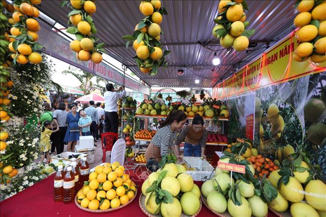 Trong ảnh: Các xã, thị trấn, nhà vườn hoàn thiện gian hàng trưng bày sản phẩm tại Hội chợ. Ảnh: Minh Quyết - TTXVN