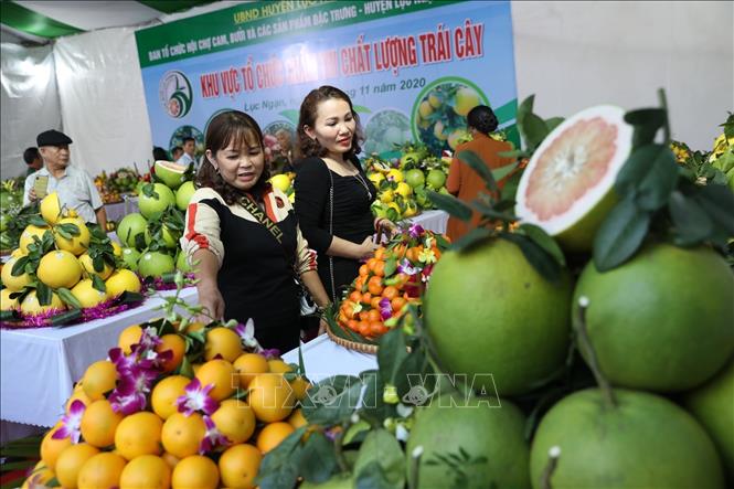 Trong ảnh: Người dân tham quan các gian hàng tại hội chợ. Ảnh: Danh Lam- TTXVN