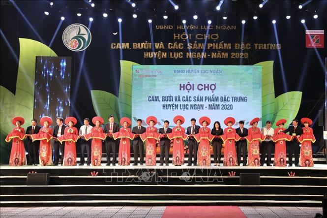 Trong ảnh: Đại biểu thực hiện nghi thức cắt băng khai mạc Hội chợ. Ảnh: Minh Quyết - TTXVN