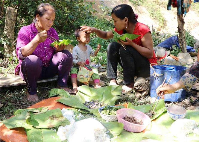 Cuộc sống của những phu vàng ở suối Nậm Cười. Ảnh: Hoàng Thùy Oanh-TTXVN