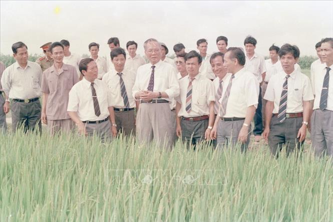 Trong ảnh: Ngày 12/5/1994, Chủ tịch nước Lê Đức Anh thăm cánh đồng lúa cao sản xã Hưng Đạo (tỉnh Hải Hưng). Ảnh: Cao Phong –TTXVN