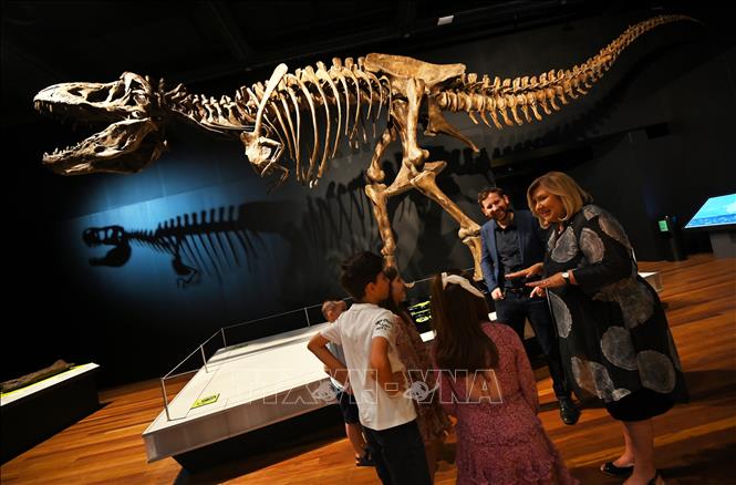 Trong ảnh: Giám đốc bảo tàng Australia Kim McKay (phải) trò chuyện cùng các em nhỏ tại bảo tàng này ở Sydney ngày 26/11/2020. Ảnh: AFP/TTXVN