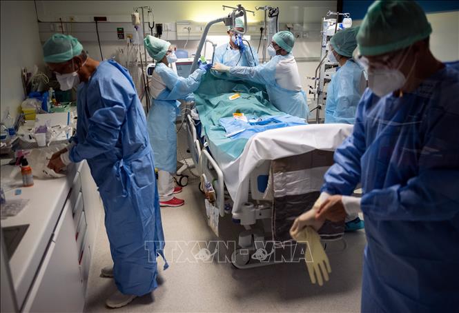 COVID-19: Tình hình dịch bệnh sáng 29/11 - Ảnh thời sự ...