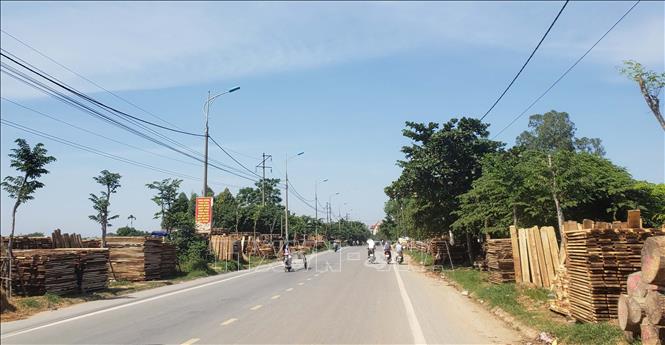 Trong ảnh: Phơi gỗ nguyên liệu tại thôn Đông làng mộc truyền thống Yên Lạc. Ảnh: Hoàng Hùng - TTXVN
