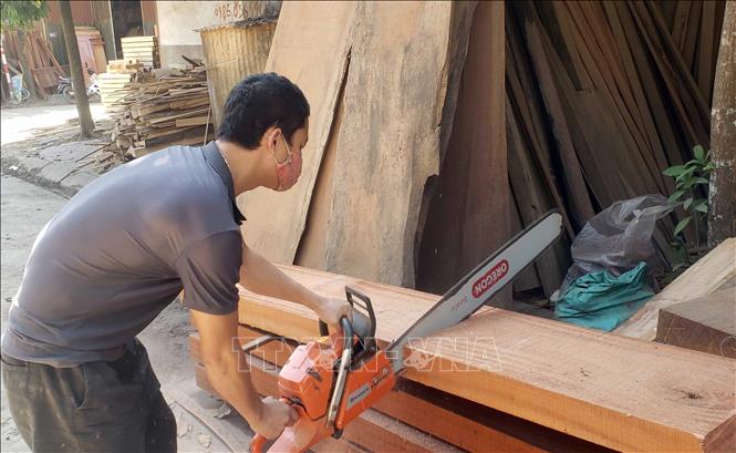 Trong ảnh: Xẻ gỗ bằng cưa máy cầm tay tại xưởng sản xuất Oanh Trọng, thôn Đoài (Yên Lạc, Vĩnh Phúc). Ảnh: Hoàng Hùng - TTXVN