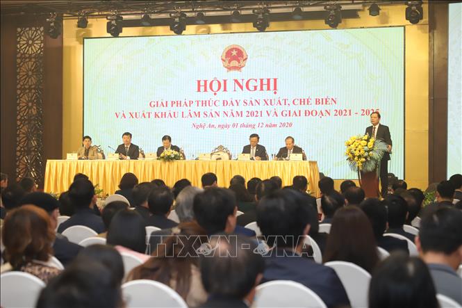 Trong ảnh: Quang cảnh Hội nghị. Ảnh: Bích Huê - TTXVN