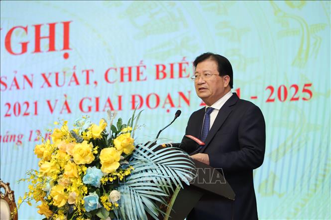 Trong ảnh: Phó Thủ tướng Trịnh Đình Dũng phát biểu chỉ đạo Hội nghị. Ảnh: Bích Huệ - TTXVN