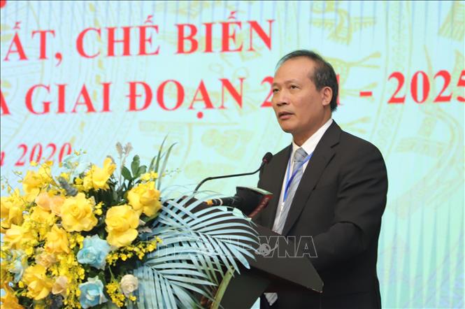 Trong ảnh: Đại diện doanh nghiệp phát biểu tại Hội nghị. Ảnh: Bích Huệ - TTXVN