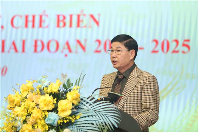 Trong ảnh: Đại diện Hiệp hội, doanh nghiệp chế biến xuất khẩu gỗ và lâm sản trong nước phát biểu tại Hội nghị. Ảnh: Bích Huệ - TTXVN