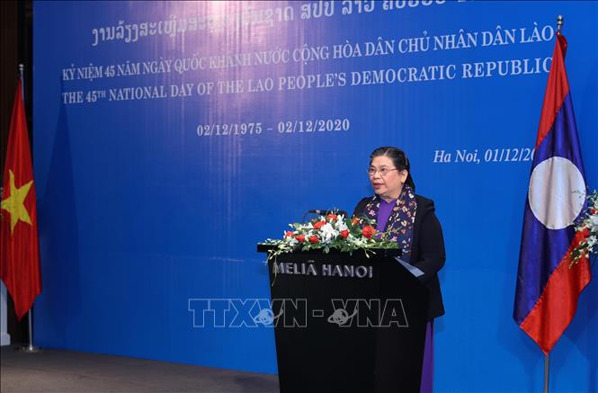 Photo: Standing Vice Chairwoman of the Vietnamese National Assembly Tong Thi Phong speaks at the event. VNA Photo: Lâm Khánh