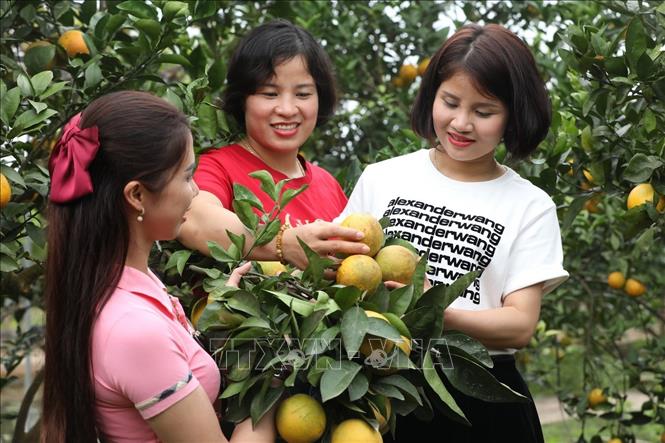 Trong ảnh: Khách tham quan mô hình Công ty TNHH giáo dục trải nghiệm Green Dream, xã Thanh Hải, huyện Lục Ngạn. Ảnh: Minh Quyết – TTXVN