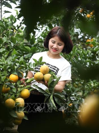 Trong ảnh: Khách tham quan mô hình Công ty TNHH giáo dục trải nghiệm Green Dream, xã Thanh Hải, huyện Lục Ngạn. Ảnh: Minh Quyết – TTXVN