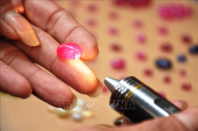 Trong ảnh: Sử dụng kính soi và đèn pin chuyên dụng kiểm tra hình khối, màu sắc và đặc biệt là độ trong của viên đá. Ảnh: Tuấn Anh-TTXVN
