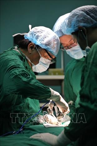Trong ảnh: PGS. TS Trần Ngọc Lương hiện là thành viên Ban Chấp hành Hội phẫu thuật tuyến giáp Châu Á – Thái Bình Dương. Ảnh: Minh Quyết – TTXVN