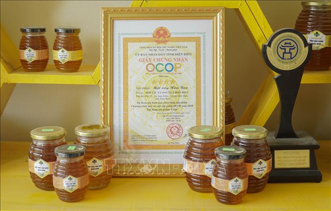 Trong ảnh: Mật ong Hoa Ban (sản phẩm OCOP 4 sao) là sản phẩm mật ong đặc trưng của Hợp tác xã ong mật Điện Biên. Ảnh: Xuân Tư - TTXVN