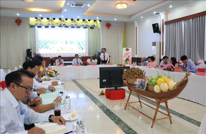 Quang cảnh hội thảo. Ảnh: Chương Đài - TTXVN
