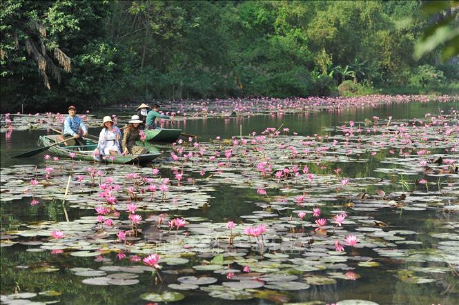 Trong ảnh: Cảnh sắc đường vào Thung Nắng. Ảnh: Minh Đức - TTXVN