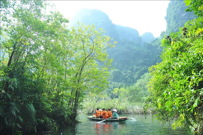 Photo: Tourists travel by boat in Trang An Scenic Landscape Complex. VNA Photo: Minh Đức