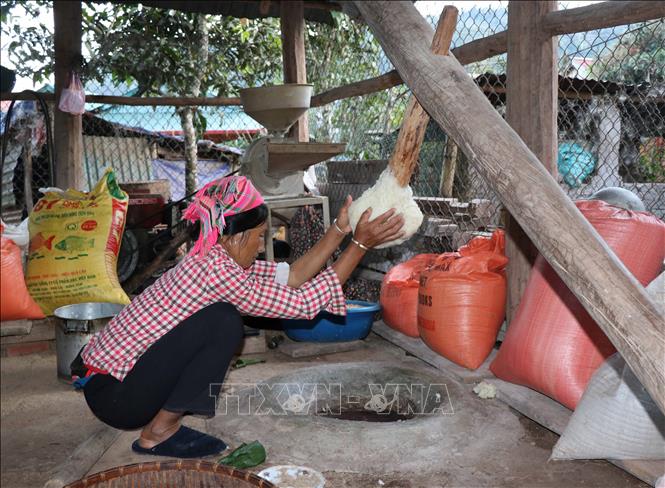 Photo: Making ‘banh day’ (round glutinous rice cake) for Tet. VNA Photo: Xuân Tiến