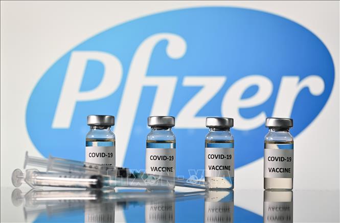 Trong ảnh: Vaccine ngừa bệnh viêm đường hô hấp cấp COVID-19 của Pfizer. Ảnh; AFP/TTXVN